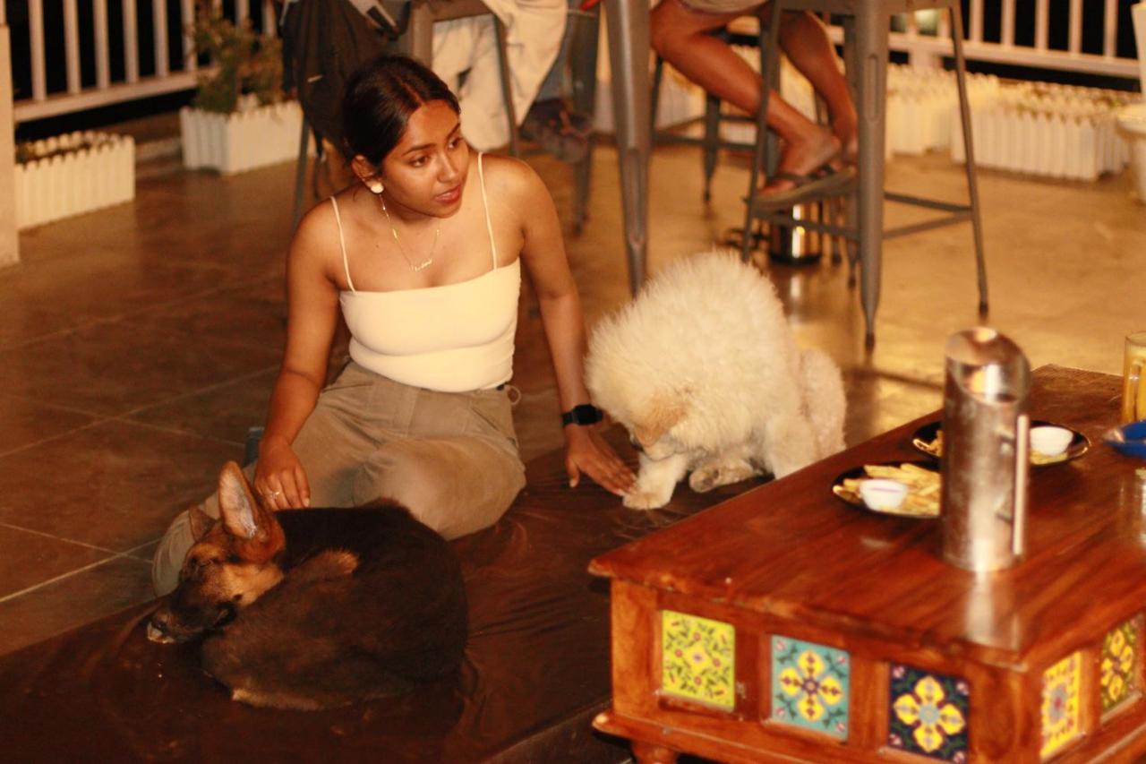 Backpacker Duniya Hostel Rishikesh Luaran gambar